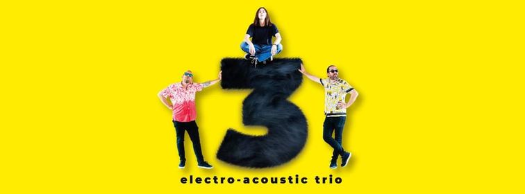 🎸 TRE 3 Live Electro-acoustic Trio
Una band che propone Rock in versione elettroacustica. Un po' Beatles, un po' Police, un po' Cure